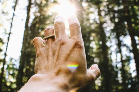 Hand reaching toward sunlight through trees.